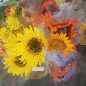 Plus Size Reseller Mystery Box 2X 22 24